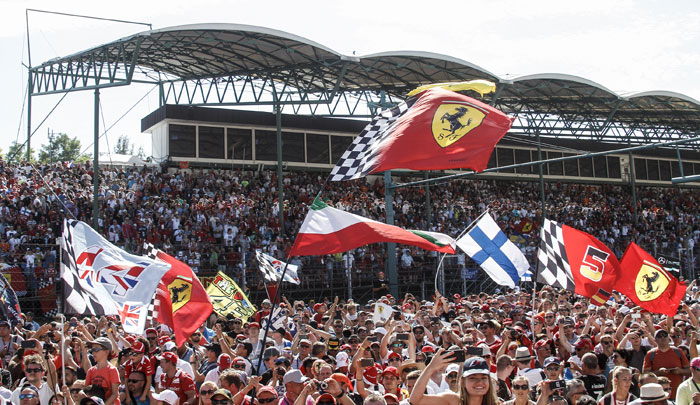 crowd and flags at the hungary gp