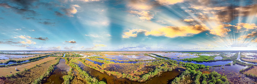 view of the everglades
