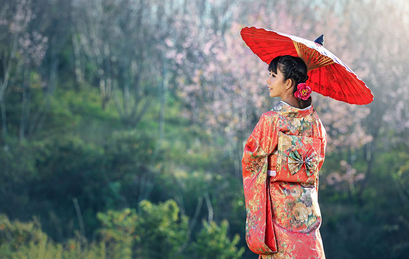 a japanese women in a kimono