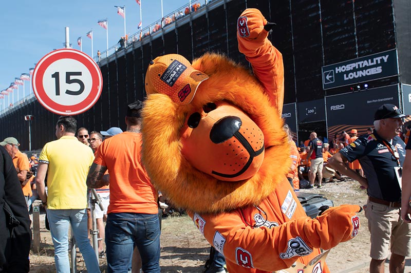 man dressed up in an orange lion outfit supporting red bull