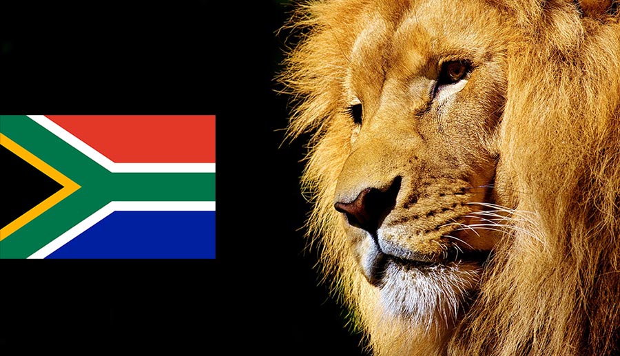 south african flag and a lion's head
